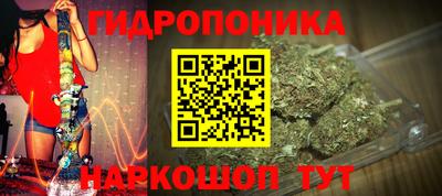 прущие грибы Балашиха