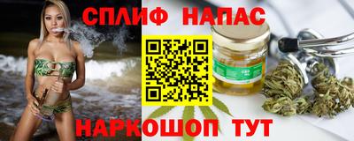 прущие грибы Балашиха