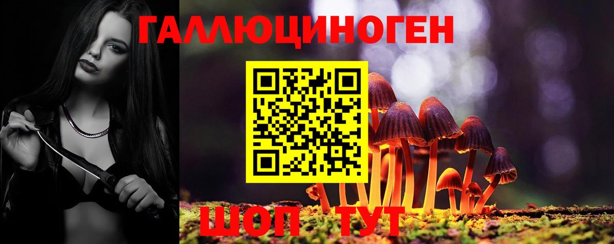 Галлюциногенные грибы прущие грибы  Галлюциногенные грибы GOLDEN TEACHER  Добрянка  где продают   Вход с VPN 